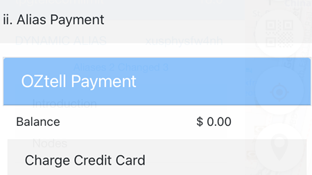 alias_payment
